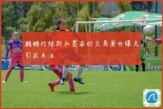 鹈鹕对琼斯和墨菲的交易要价曝光引发关注