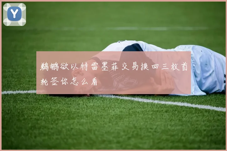 鹈鹕欲以特雷墨菲交易换回三枚首轮签你怎么看